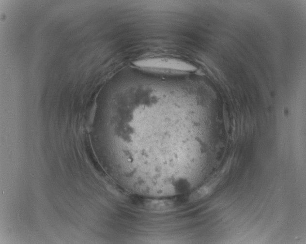 X0000061740277200512231508