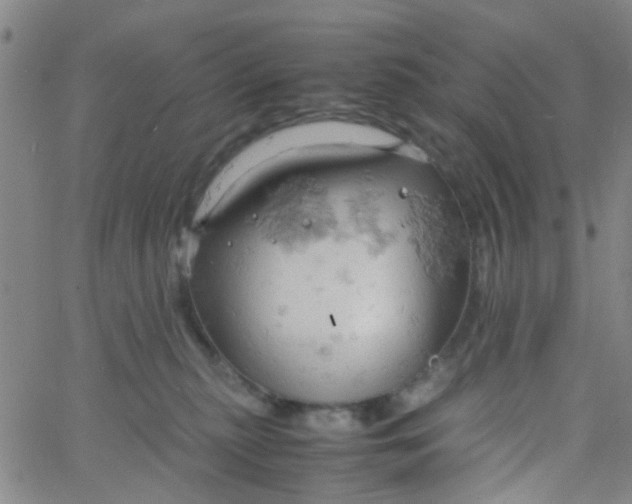 X0000061740279200512231508