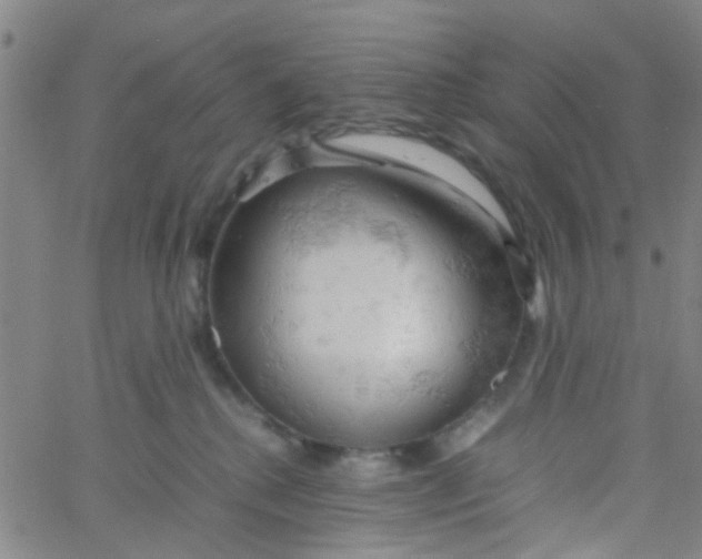 X0000061740280200512231508