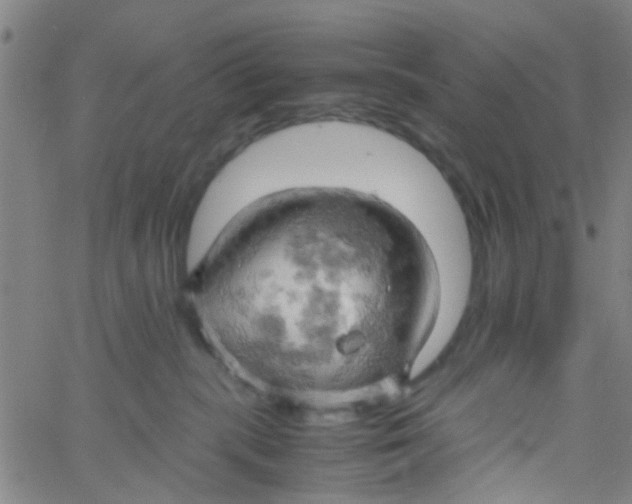 X0000061740283200512231508