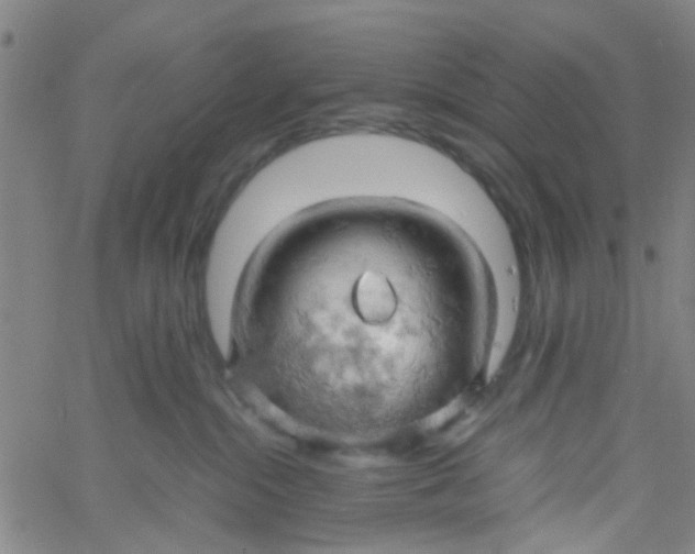 X0000061740284200512231508