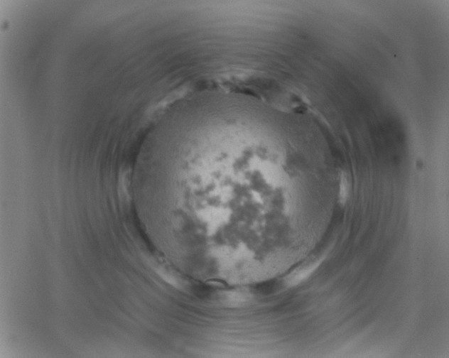 X0000061740286200512231508