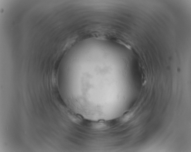 X0000061740287200512231508