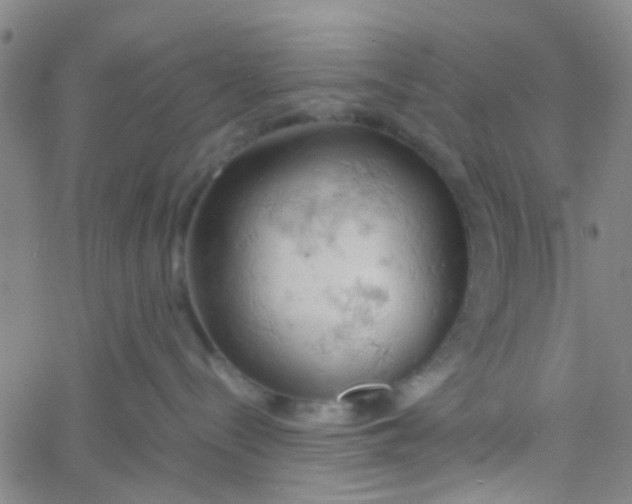 X0000061740288200512231508