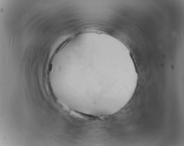 X0000061740289200512231507