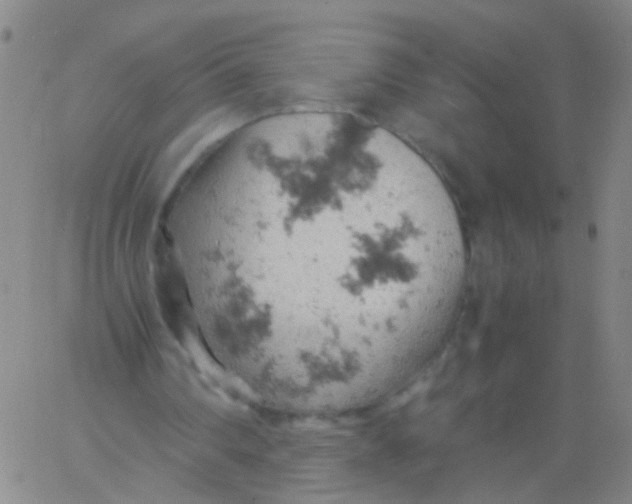 X0000061740290200512231507