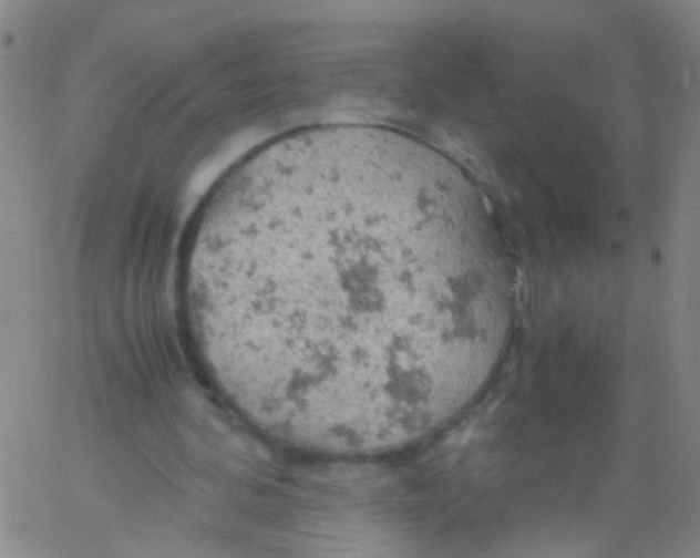 X0000061740292200512231507