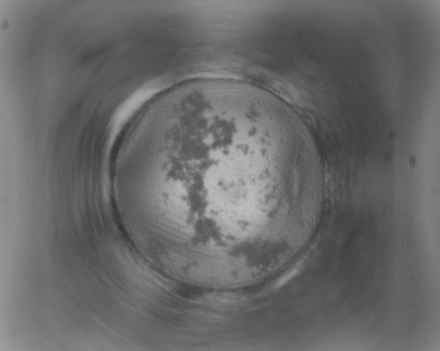 X0000061740294200512231507