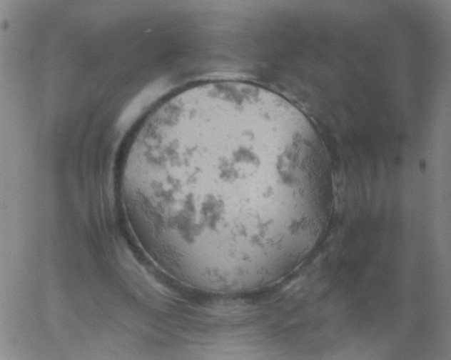 X0000061740296200512231507