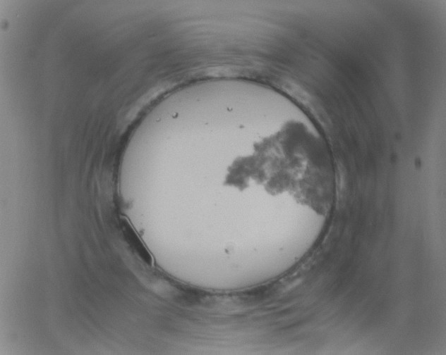 X0000061740297200512231507