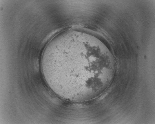 X0000061740298200512231507