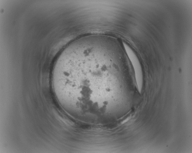 X0000061740299200512231507