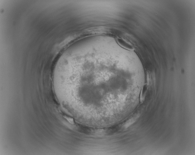 X0000061740301200512231507