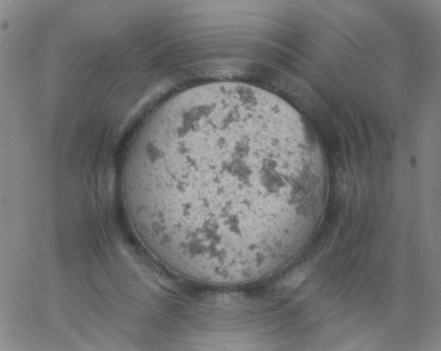 X0000061740304200512231507