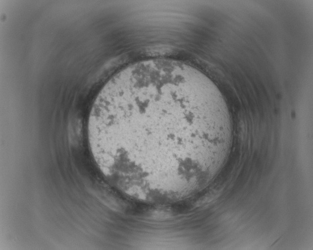 X0000061740308200512231507