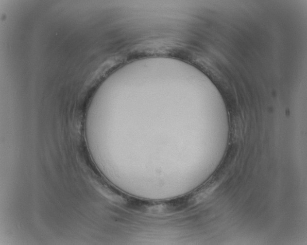 X0000061740309200512231507