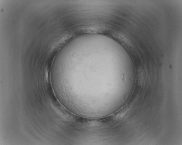 X0000061740310200512231507