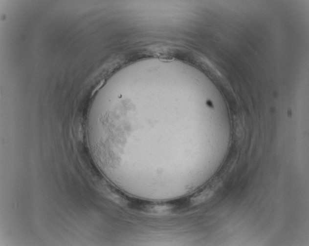 X0000061740313200512231507