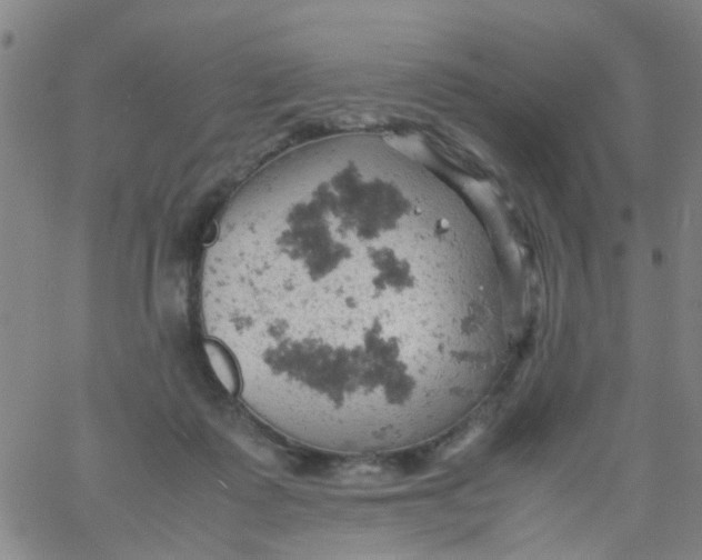 X0000061740315200512231507