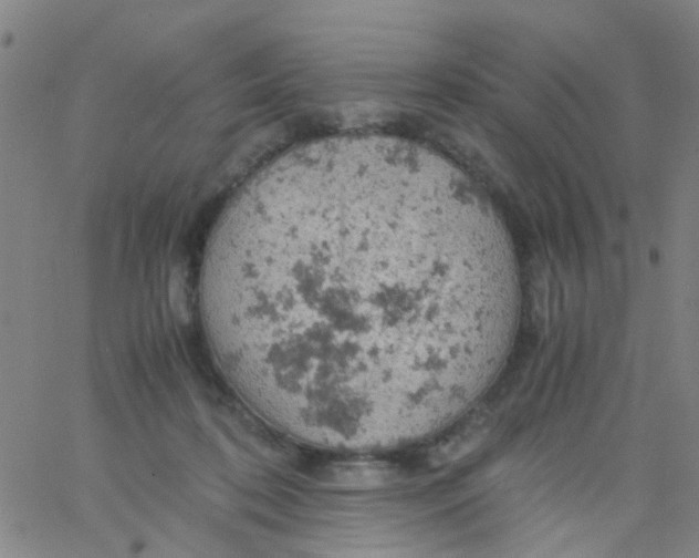 X0000061740316200512231507