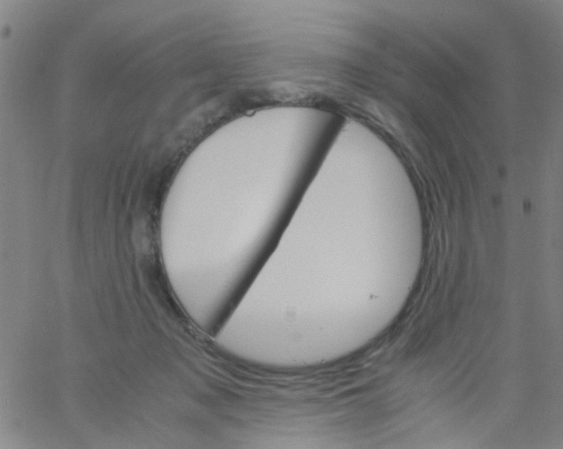 X0000061740317200512231507