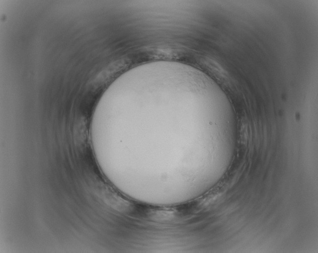 X0000061740318200512231507