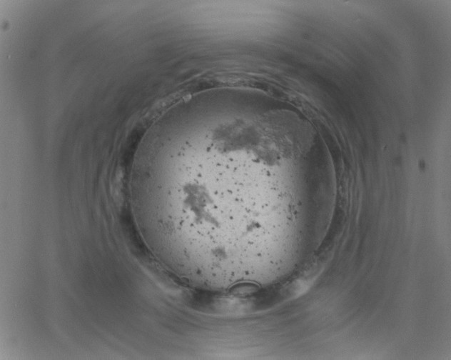 X0000061740319200512231507