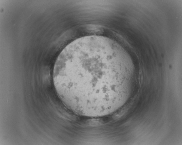 X0000061740320200512231507