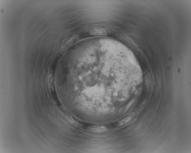 X0000061740322200512231506