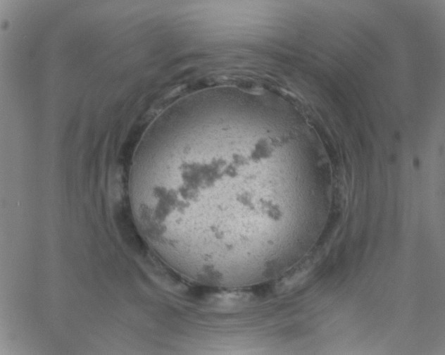 X0000061740323200512231506