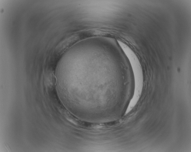 X0000061740325200512231506