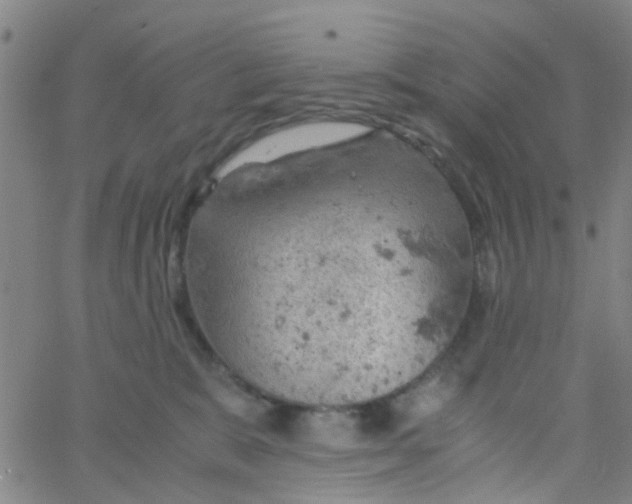 X0000061740327200512231506