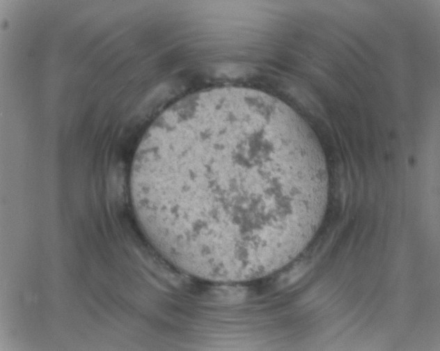 X0000061740328200512231506