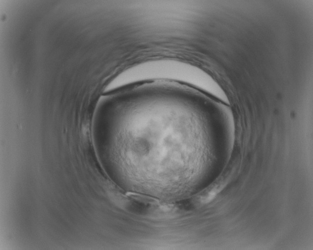 X0000061740329200512231506