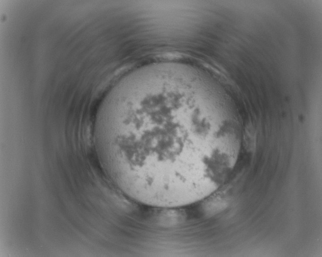 X0000061740330200512231506