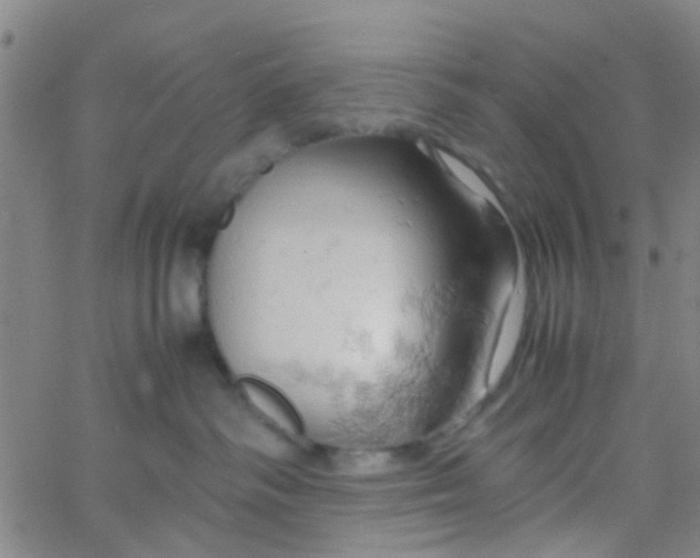 X0000061740334200512231506