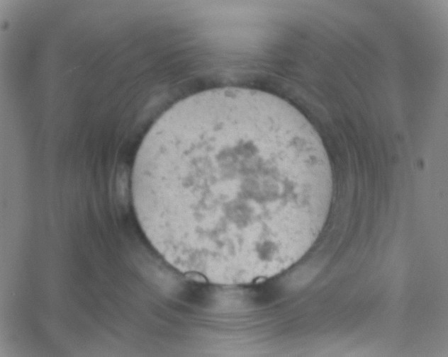 X0000061740336200512231506