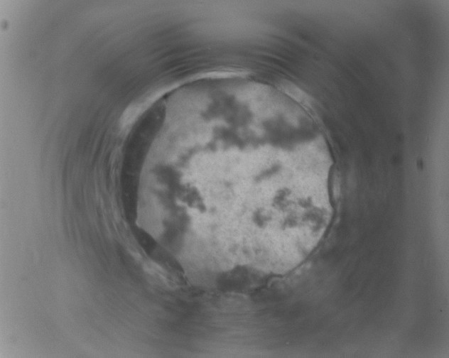 X0000061740337200512231505