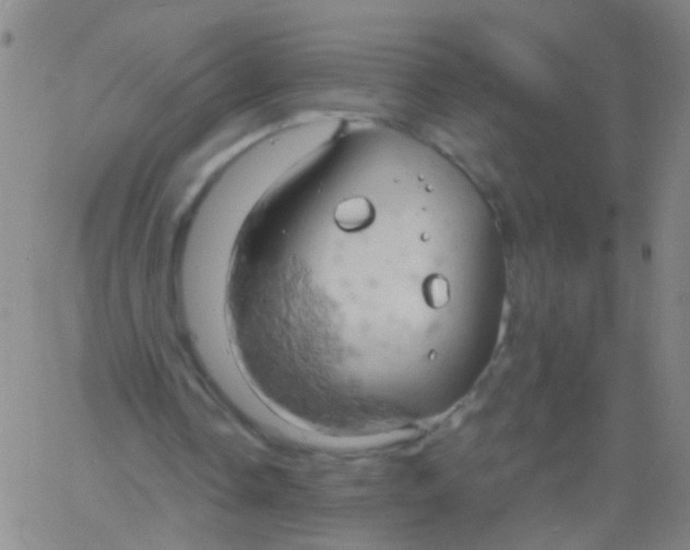 X0000061740338200512231505