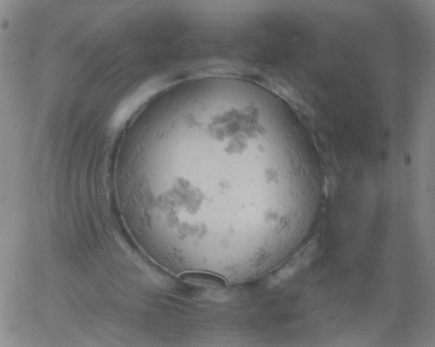 X0000061740341200512231506