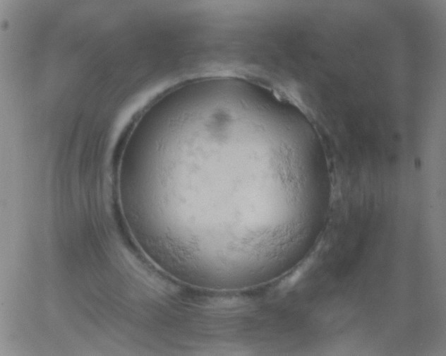 X0000061740342200512231506