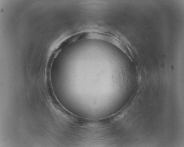 X0000061740344200512231506