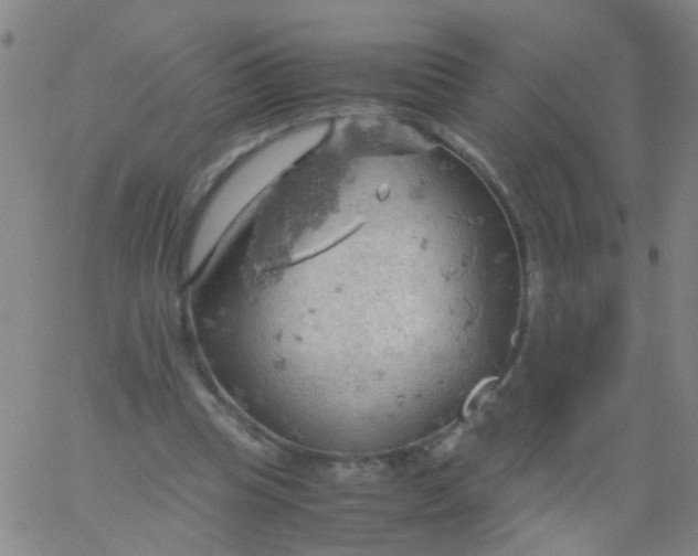 X0000061740345200512231506