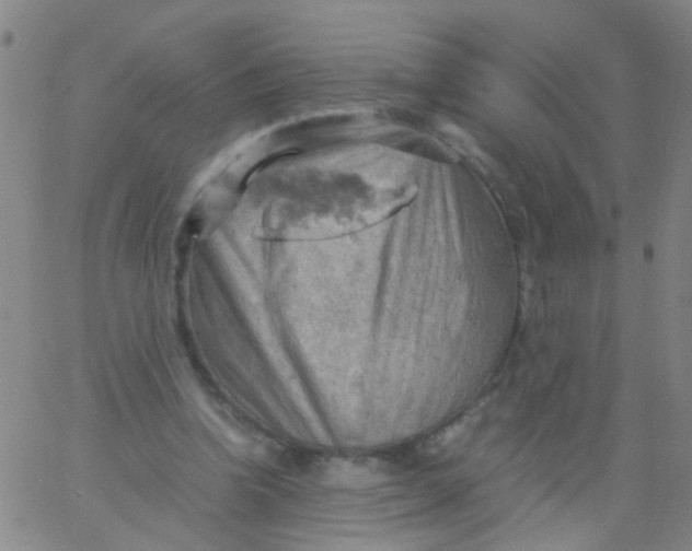 X0000061740346200512231506