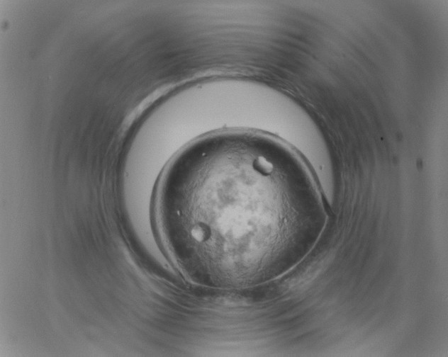 X0000061740348200512231506