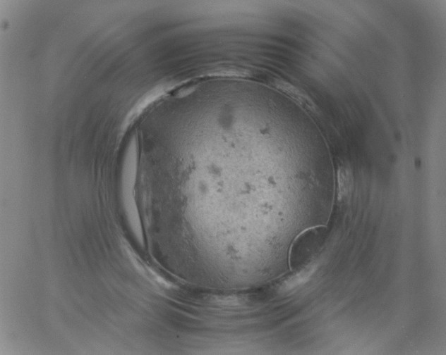 X0000061740349200512231506