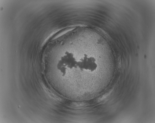 X0000061740351200512231506