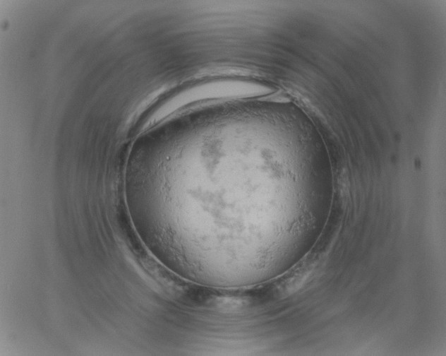 X0000061740352200512231506