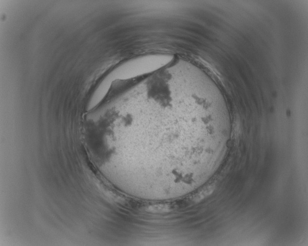 X0000061740353200512231506