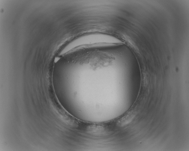 X0000061740354200512231506